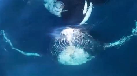 Ixmdxniela nudea staff, service and location have been