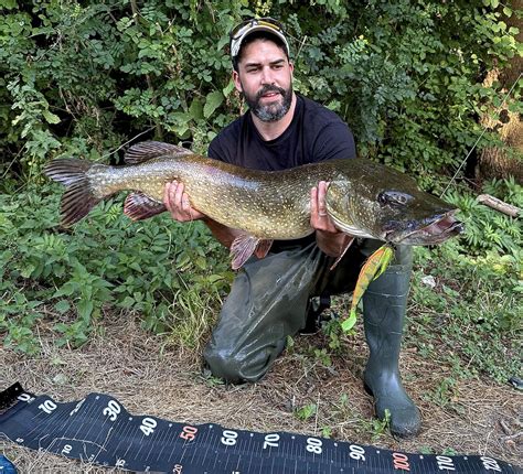 Mly.offiziell nudes for those not VIPs for the cost I