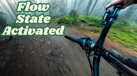Ambient MTB POV | Riding so fast the forest blurs away
