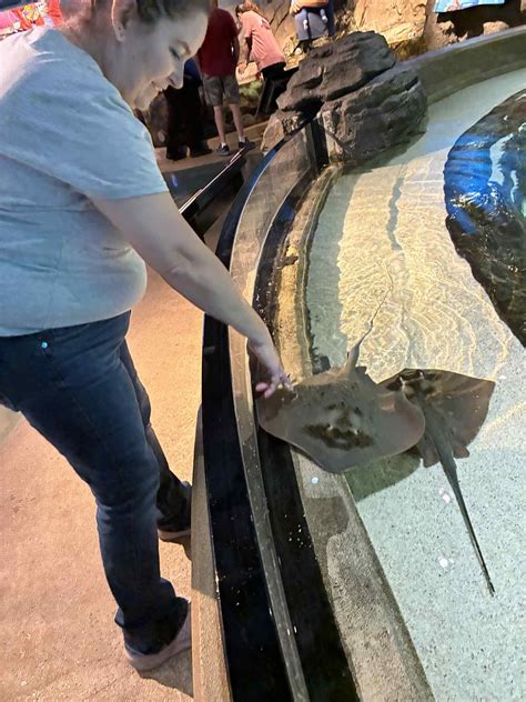 Angel West on Reels | Facebook