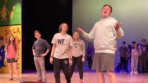 McDowell student stars in musical after battling Guillian-Barre