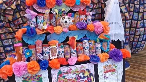 College For Creatic Stock Videos – Royalty-Free HD & 4K Videos