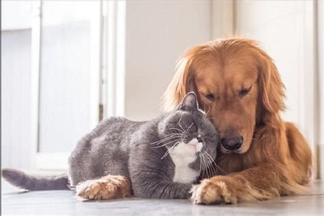 Annie Swanson | Chicago IL