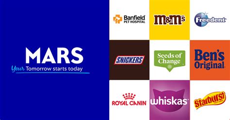 MyP&O Operations Analyst with German (f/m/x) job in Warsaw, Masovian