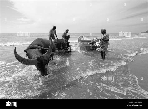 Fishermen boat beach Black and White Stock Photos & Images - Alamy