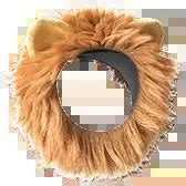 lions mane gift  coins  bettertok