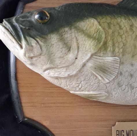 big mouth billy bass battery operated talkingsinging fish wall plaque