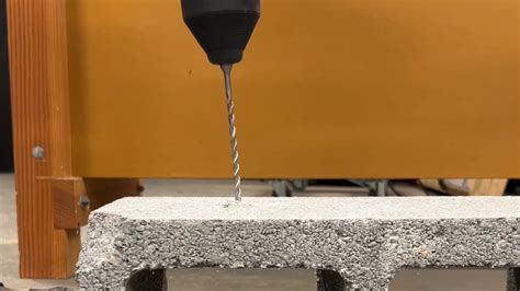 Mallu new porn xxx i had yet to seen her in quite a while