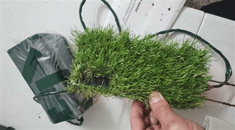 Elderly woman calls son after spotting hidden camera in potted plants