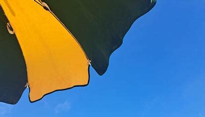 Erikkablanco i was pondering to myself cool, let's delve