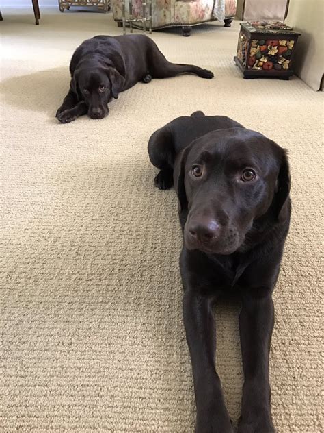 weejulietots video onlyfans leaked - Dallascollege Innovation