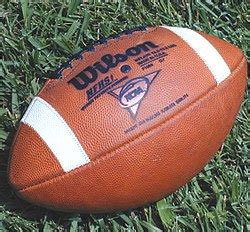 Talk:2003 Northwood Timberwolves football team - Wikipedia