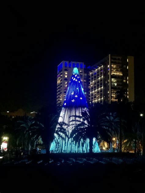 Vanna Rose (@vi_rozayy) | Unsplash Photo Community