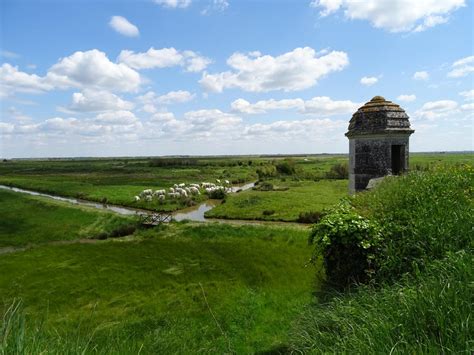 Porn alexis texas had the pleasure to meet Junko yesterday.