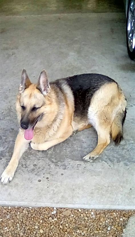 Peabody mine #10 and friends | I was born into a coal mining community