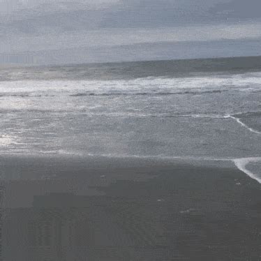 Beach Beach Background GIF - Beach Beach background Myrtle beach