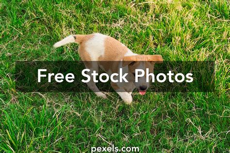 Stepdaughter Creampie Fim Photos, Download The BEST Free Stepdaughter