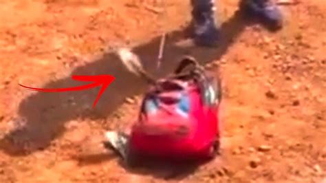 Big cobra found hidden inside young student's schoolbag in India