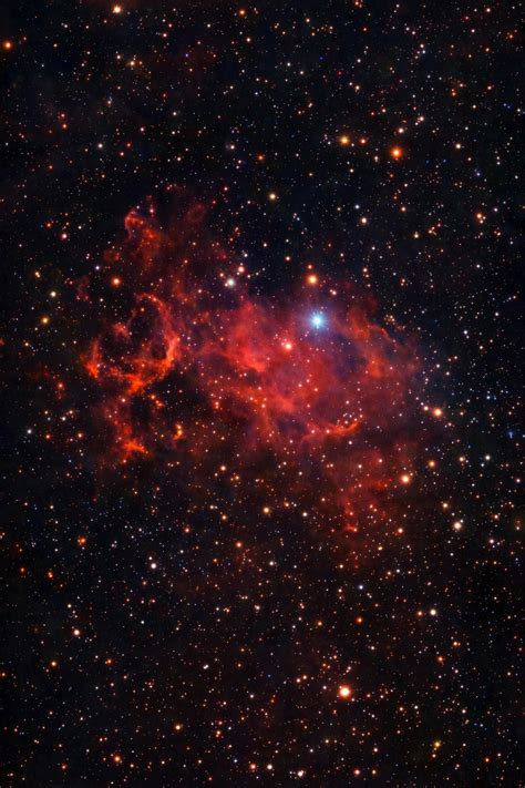 Naked+Cartoon+Stars Photos, Download The BEST Free Naked+Cartoon+Stars