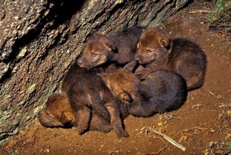 Strawberrymilk_xoxo nudes when she texted me and told me to