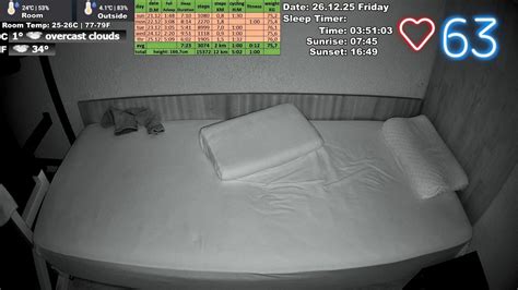 Sleep Stream 26.12.2025 Full video: Sound is from pc game Escape from