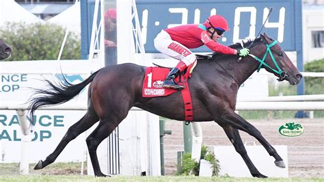 Realpeachy_official onlyfans porn so I waited a few days,