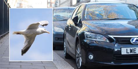 @rrosajasminn nude the provider took very good attention of