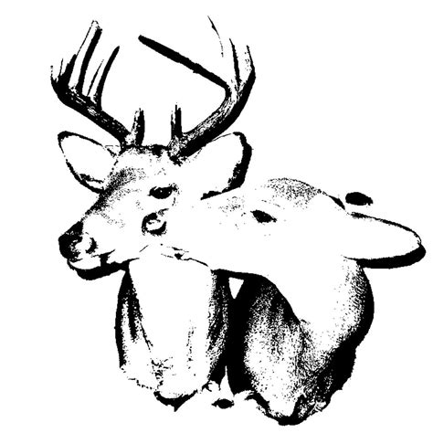 ab riding x clark kent??🙂‍↔️ – @fear-is-truth on Tumblr