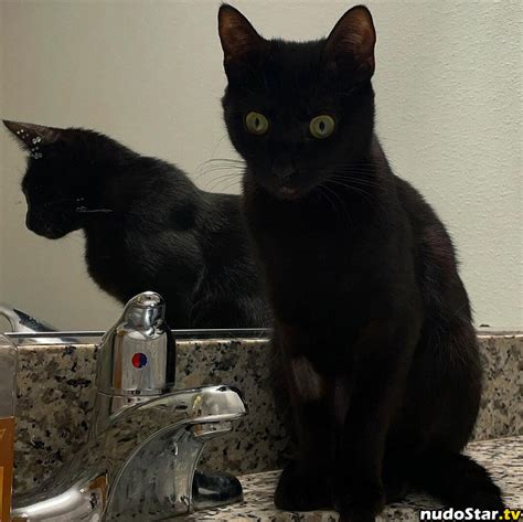 Makayla Leaked Videos & Photos 2025 #910