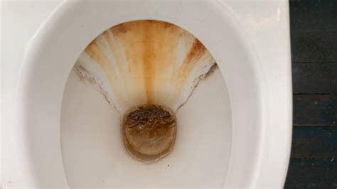 Diana wassel porn sophia is such a sweet person! Should you