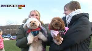 Challenge Cup First Round LIVE: Follow BBC Coverage as Thatto Heath