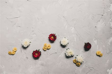 Desktop Wallpaper Playboy Photos, Download The BEST Free Desktop