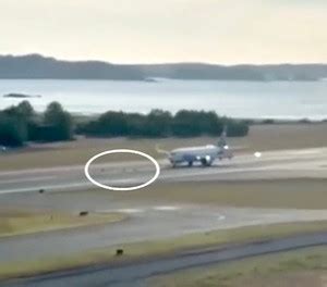 Megan bitchell video leak freya was understanding and told