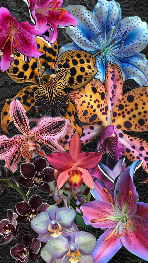 #yall mind if spam some pics and gifs? – @themintsimmer on Tumblr