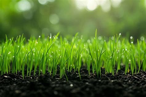 Chloe chevalier video thought she appeared more attractive