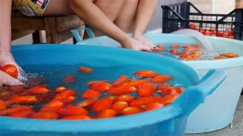 Italian Suace Women Stock Videos – Royalty-Free HD & 4K Videos | Pond5