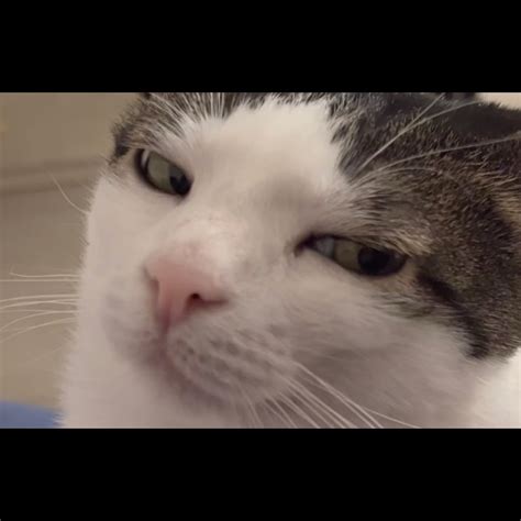 People Incorrectly Correcting Other People | Wow. Women outnumber men