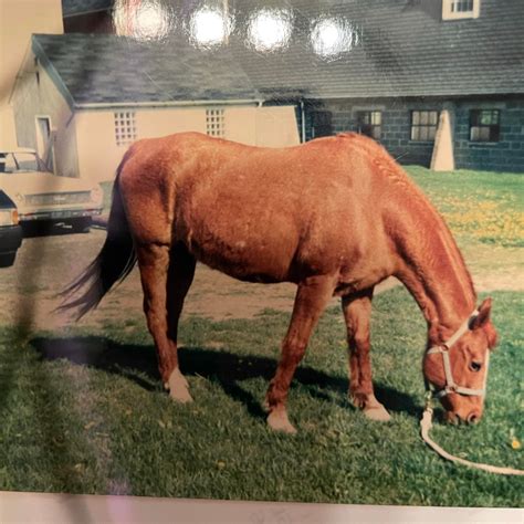 anders detweiler funeral home & crematory 8