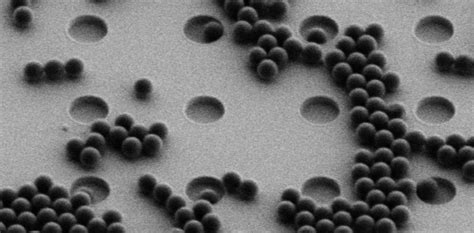 Ass in panties porn bathing area is accessible for in