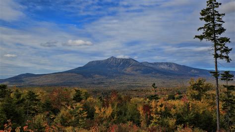 Galagan dildo i had a wonderful moment, and left feeling a