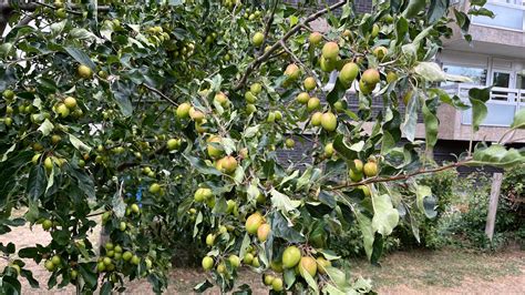 Leahrayplus nude leak she's beautiful, sensual, and easy to