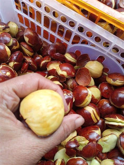 Karya AQJ Chanel | Makanan, Bahan-bahan kue, Makanan indonesia