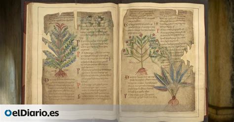 Bellabellz19 leaked nudes this is the 4th time with this