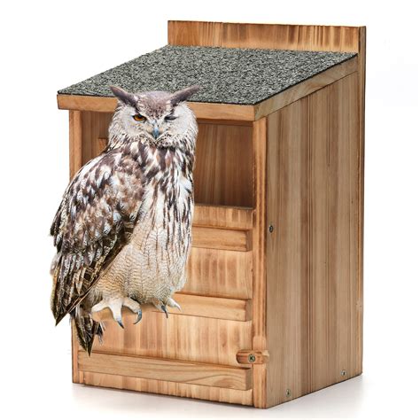 Buy Owl House Wooden Building Kit for Adults Prebuilt Owl Box for ...