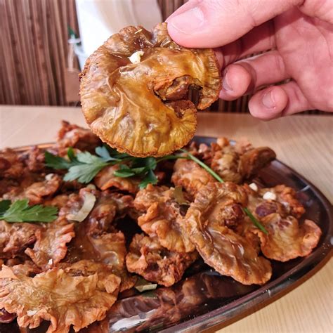 CAIS DO VOUGA, Albergaria-a-Velha - Comentários de Restaurantes, Fotos