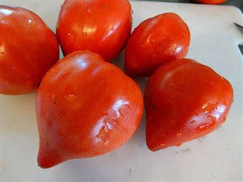 Canadian Prairies Seed Catalogues 2024 - Canada's Local Gardener magazine