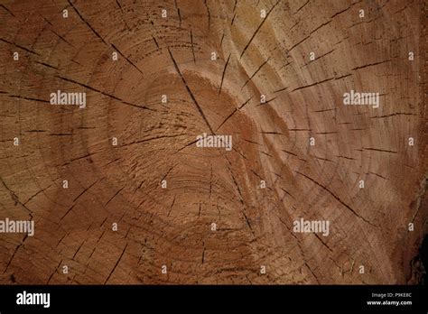 log stock photo alamy