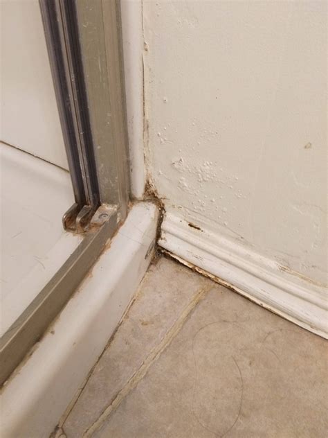 Shower waterproofing, Mapei Aquadefense or Redgard? : r/HomeImprovement