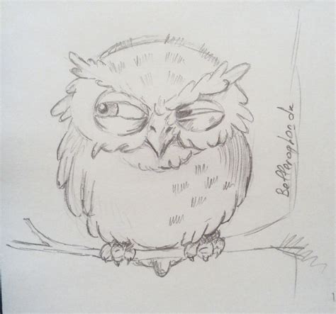 Animal drawings sketches, Owls drawing, Owl sketch