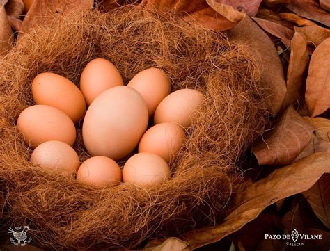 Los mejores récords mundiales con huevos | Pazo de Vilane